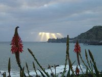 Die südlichste Landspitze von Sao Miguel heißt Caloura und hat ein besonderes Mikroklima