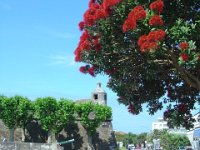 Marine Fort in Ponta Delgarda mit Metrociderablüte im Juni